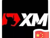 XM外汇:做到这些,才能成为外汇交易市场的“丛林猎手”!_XM外汇集团_XM外汇_XM外汇平台_XM外汇最新官网